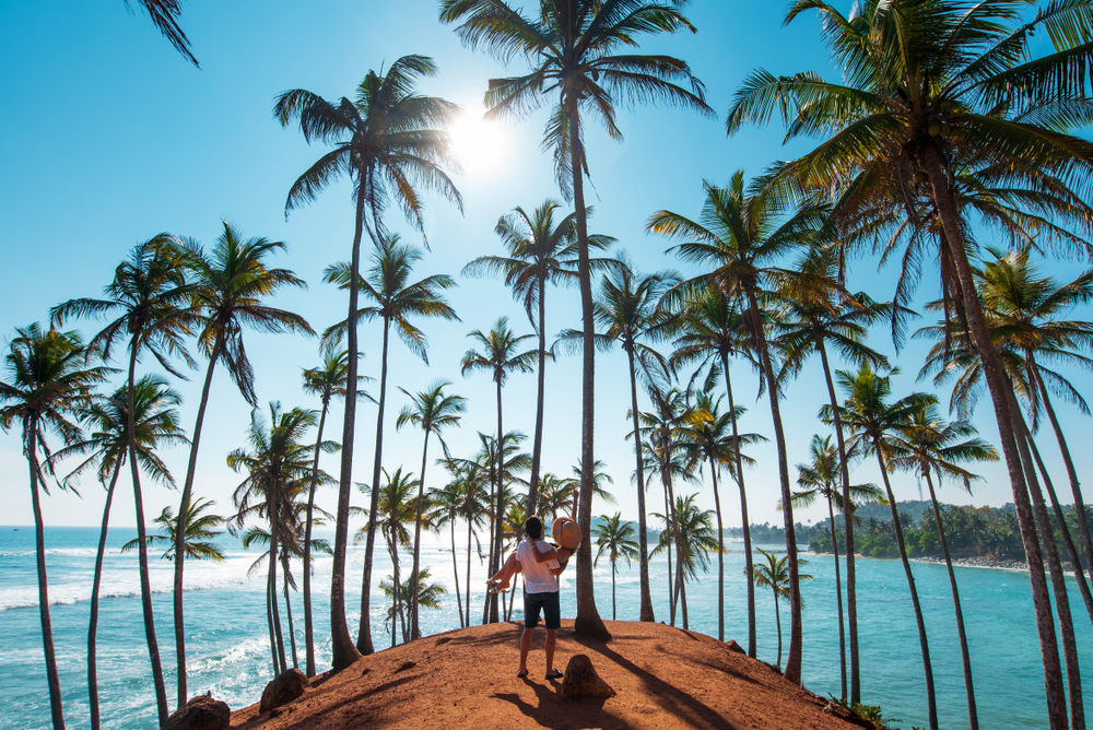 Couple enjoying ocean views under tall palm trees at Coconut Tree Hill in Mirissa, one of the best honeymoon destinations in Sri Lanka