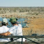 The Ultimate Guide for Your Tanzania Honeymoon in 2026