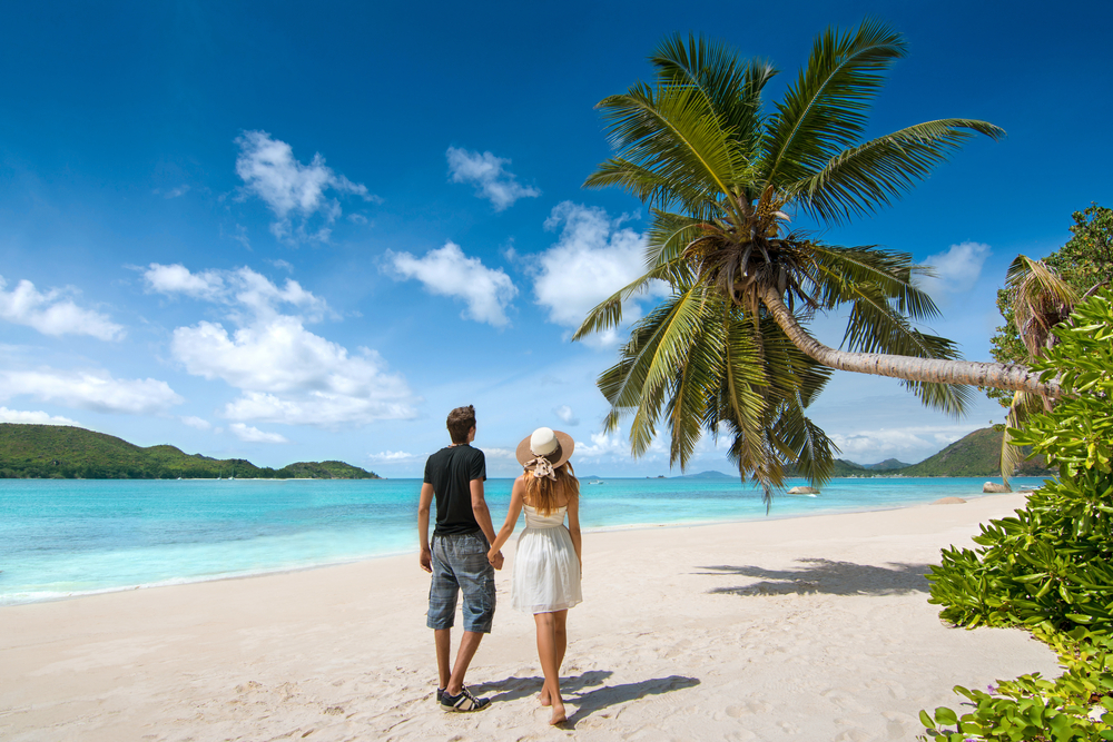 A couple holding hands on a pristine white sand beach under a leaning palm tree, enjoying a scenic Seychelles honeymoon by the clear blue Indian Ocean